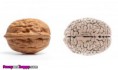 /album/nadherne-kreace-jidla/vegetables-like-human-bodies-1-jpg/